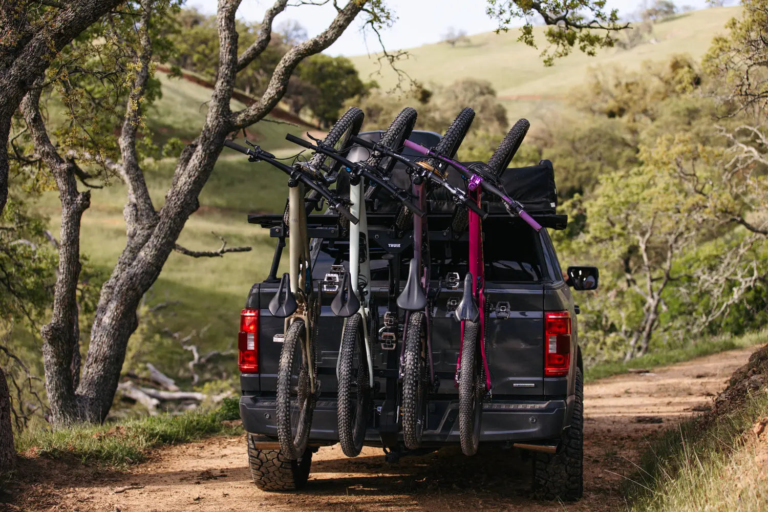 Thule ReVert Vertical Bike Rack -  Rack-n-Roll