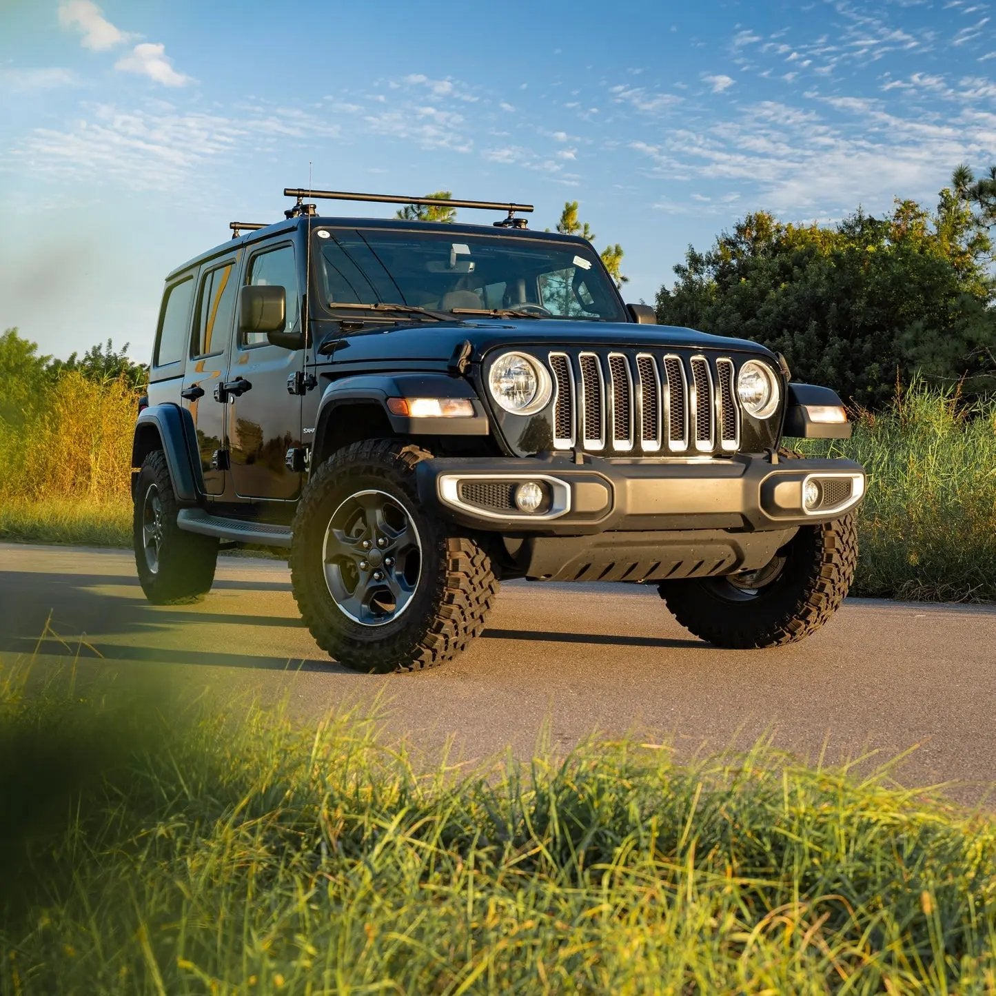 Ridge Ready Monkey Bars  48"  (Vans, Trucks, SUVs + Jeeps w/ narrow roof ridges) SeaSucker